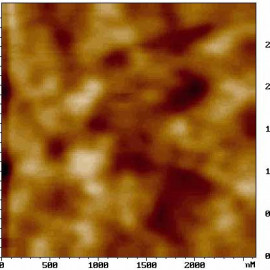 Ferroelectric stripe domains on PZT (AFAM)