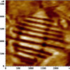 ferroelectric-stripe-domains-on-pzt-afam_2