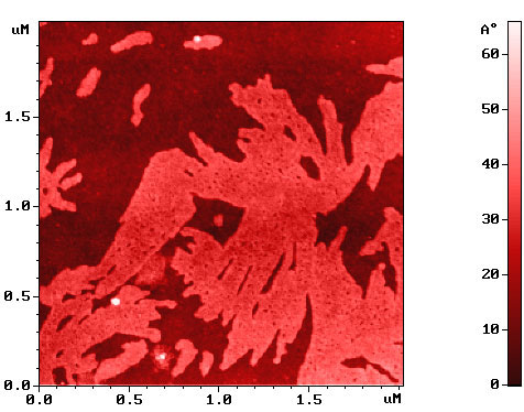 surface-potential-of-two-component-lb-film_3