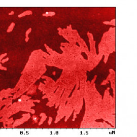 Surface potential of two-component LB film