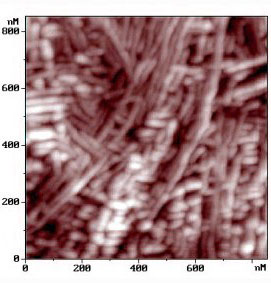 polypropylene_1