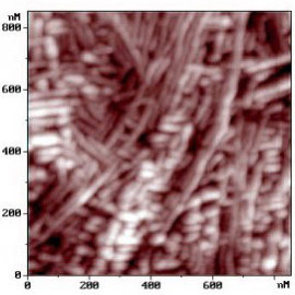 Polypropylene