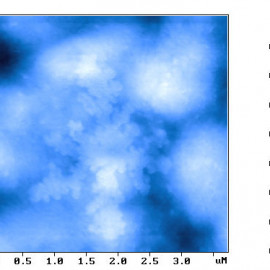 Dendrite on the block-copolymer surface