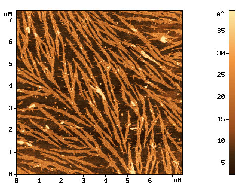 collapsed_langmuir-blodgett_film_7.2x7