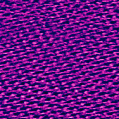 purple-membrane-imaged-in-liquid