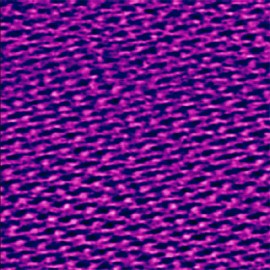 Purple membrane imaged in liquid