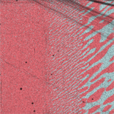 HybriD Piezoresponse Force Microscopy, Real-time study of temperature dynamics of electromechanical properties