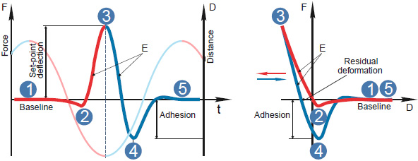  Force-versus-time, Fvt (left) and force-versus-distance, FvZ (right) curves in an oscillatory cycle of the HybriD mode. The sine wave in the left part shows a vertical scanner motion.