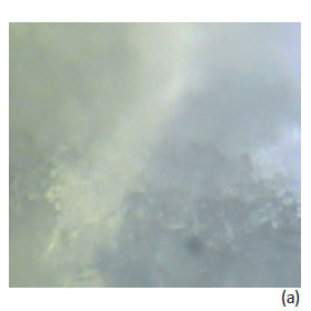 ANADIN tablet measurements with NTEGRA Spectra, optical image of tablet.