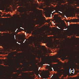 AFM topography phase of the surface of LiCoO2 cathodes from the used battery