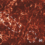AFM topography phase of the surface of LiCoO2 cathodes from the new battery