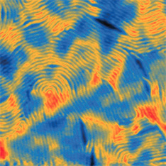 Atomic Force Microscopy Studies of Mechanical and Electric Properties in the Contact Mode, The height image of triblock copolymer