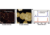 Confocal Raman Microscopy (CRM)