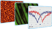 Piezoresponse Force Microscopy in Its Applications