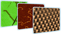 NEXT Scanning Probe Microscope: Visualization of Surface Nanostructures and of Morpholog