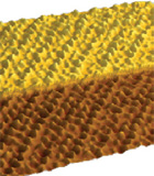 High-Resolution Imaging in Different Atomic Force Microscopy Modes