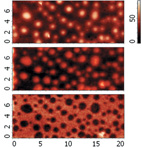 Interplay between Raman Scattering and Atomic Force Microscopy in Characterization of Polymer Blends