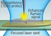 Tip-enhanced Raman Scattering: Approaching 10 nm Optical Resolution